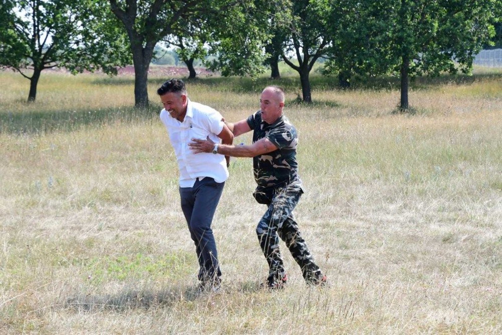 Demanti Damira Grunbauma na objavljene tekstove o Terri Istriani